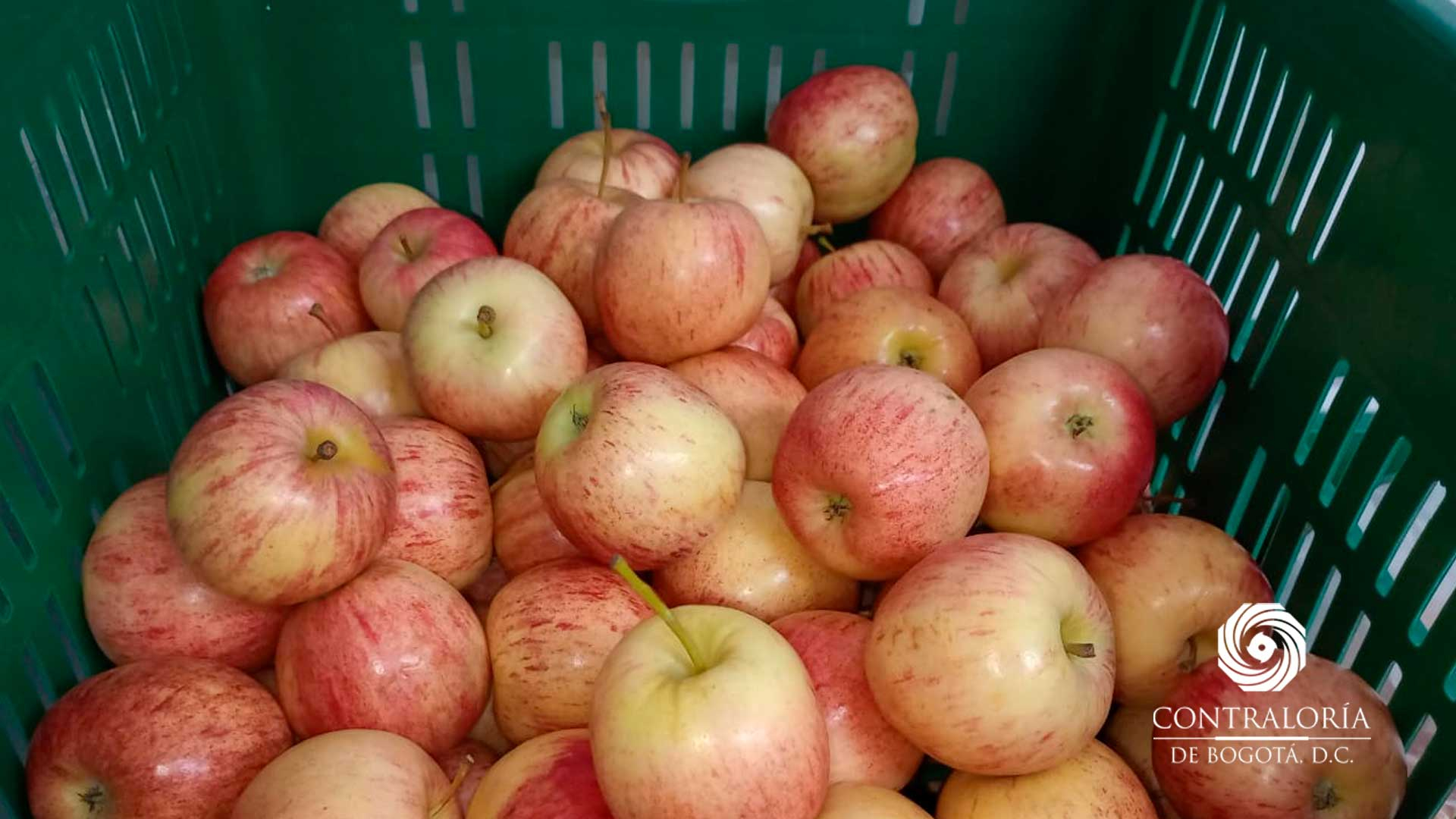 Visita a 27 Instituciones Educativas en Bogotá - Zona de alimentos