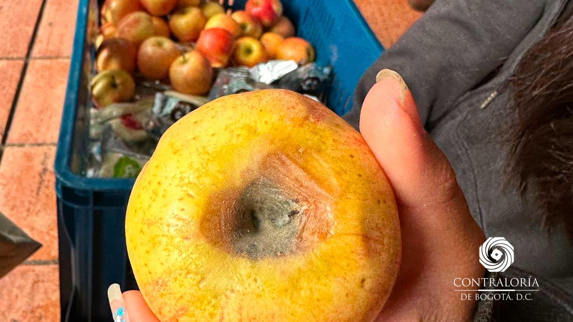 Visita a 27 Instituciones Educativas en Bogotá - Zona de alimentos